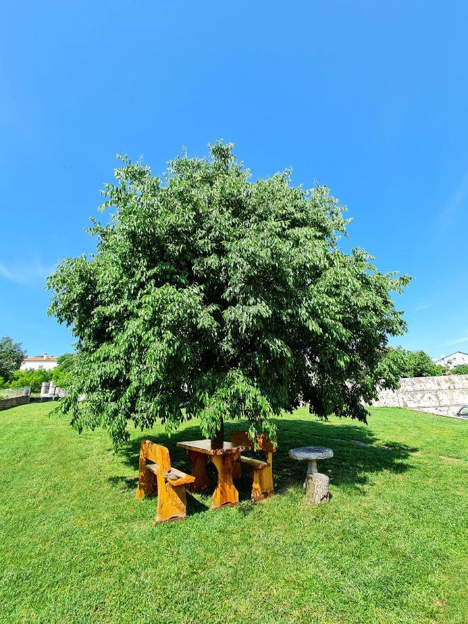 רובינייסקו סלו Guesthouse Casa Barbaro מראה חיצוני תמונה